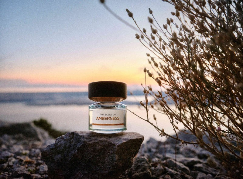 BMW Amberness EDP 50 ML (50 ml)