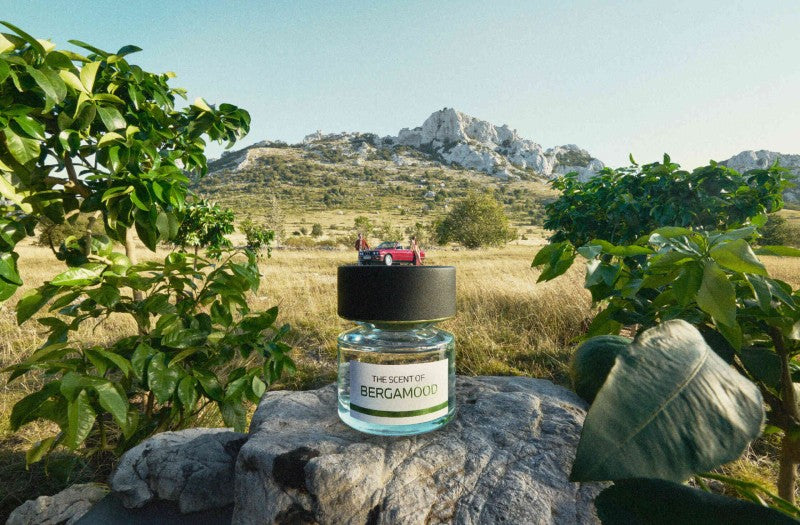 BMW Bergamood EDP 50 ML (50 ml)