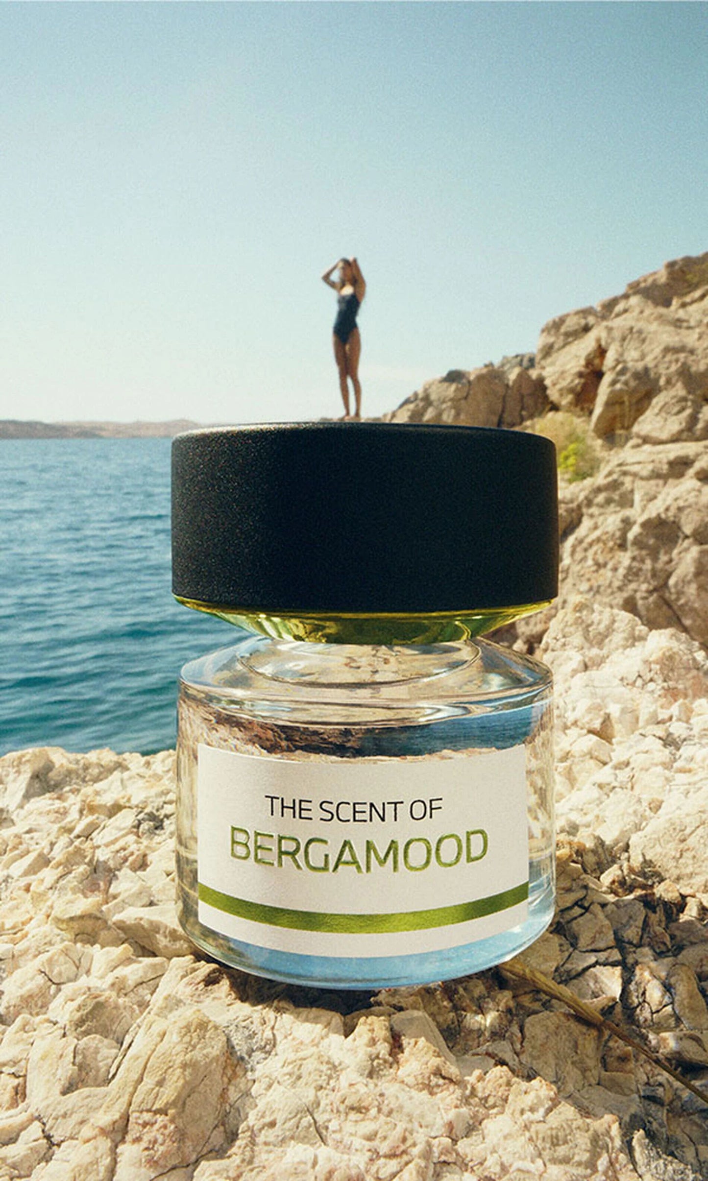 BMW Bergamood EDP 50 ML (50 ml)